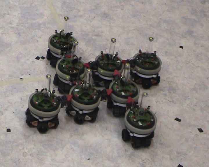 Evolution of Cooperative Behaviors, Self-organization and Swarm Robotics